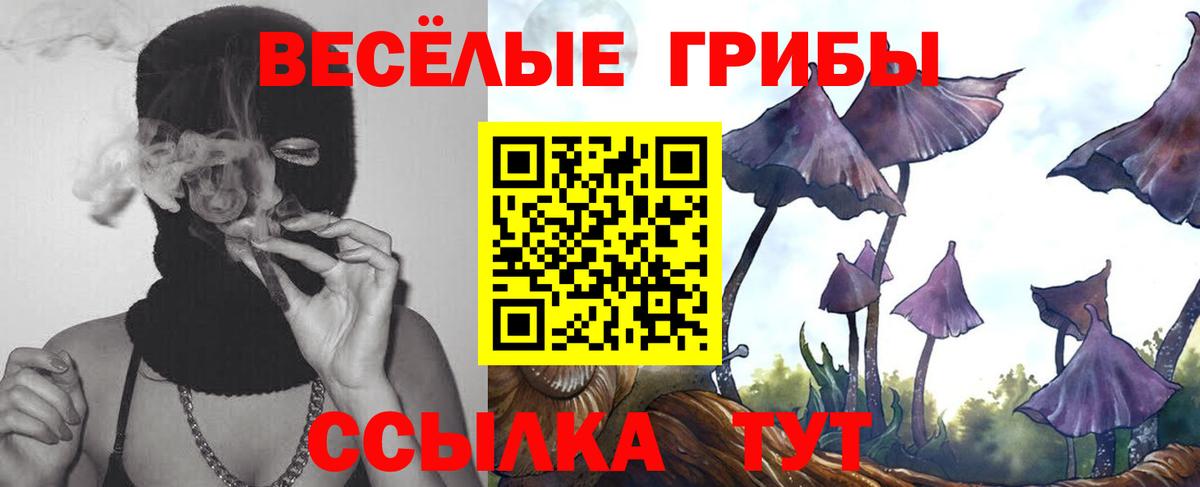Галлюциногенные грибы GOLDEN TEACHER Кыштым